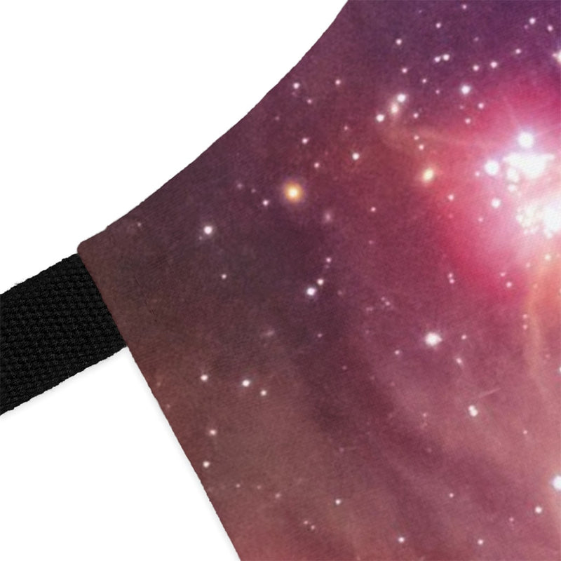 A Chef's Vision Cosmos Apron.