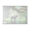 A photo of a Chef's Vision SliceBright Wildlife Glass Cutting Board featuring an elephant standing in the water.