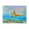 A sea turtle swimming in the ocean on a Chef's Vision SliceBright Glass Cutting Board.